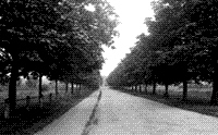Woodfield Lane